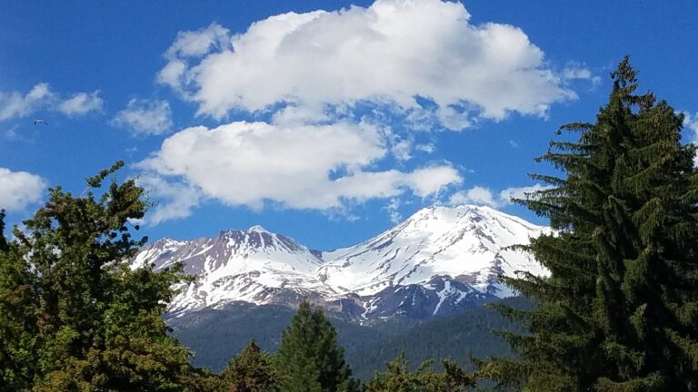 Doorway to Planetary Ascension